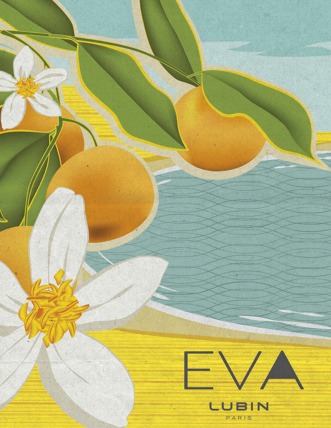 Eva, la fleur d’oranger et ses fruits, illustration